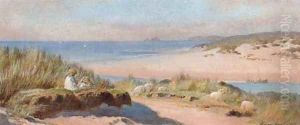 Cape Cod