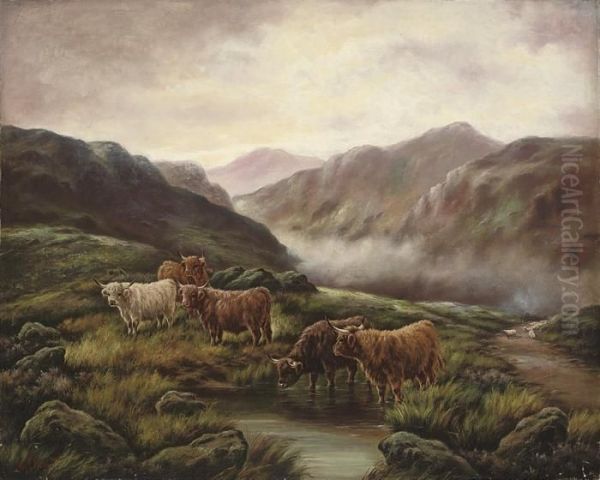 Highland Cattle, Mists Rolling In - view 1