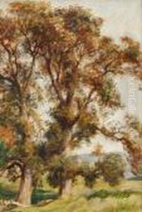 Landscape With Trees Landscape With Trees