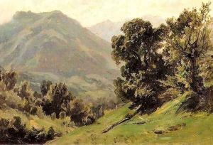 Aguas buenas, Pirineos 2