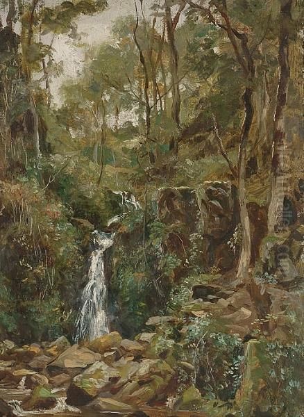 Waterfall In A Wooded Glade - view 1