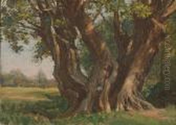 The Great Oak In Neadham Churchyard - view 1