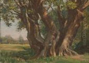 The Great Oak In Neadham Churchyard by Frank Moss Bennett