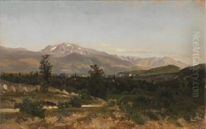 Delfinado