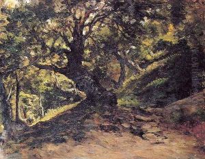Bosque de hayas