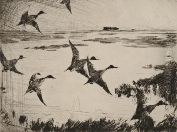 Over Sunk Marsh - view 1