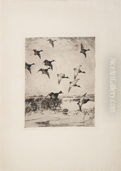 Flying Ducks - view 1