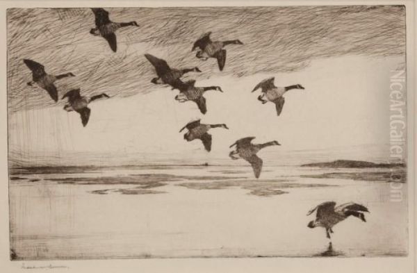 Geese Drifting Down - view 1