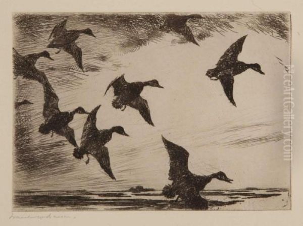 Black Ducks At Dusk - view 1