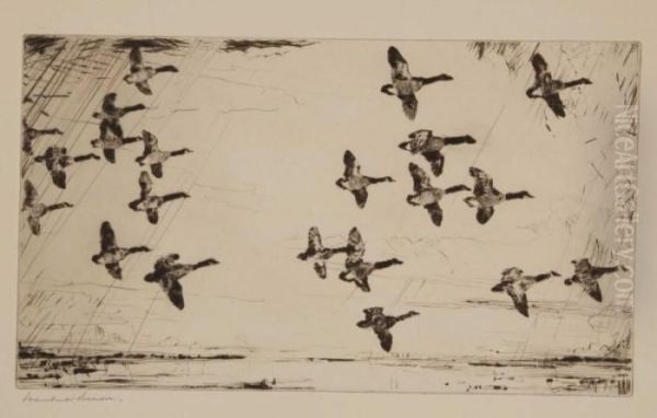 Over Currituck Marshes - view 1