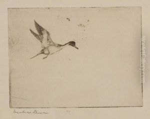 Lone Pintail by Frank Weston Benson