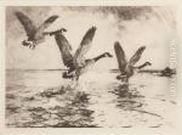 Three Canada Geese - view 1