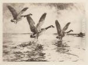 Three Canada Geese by Frank Weston Benson