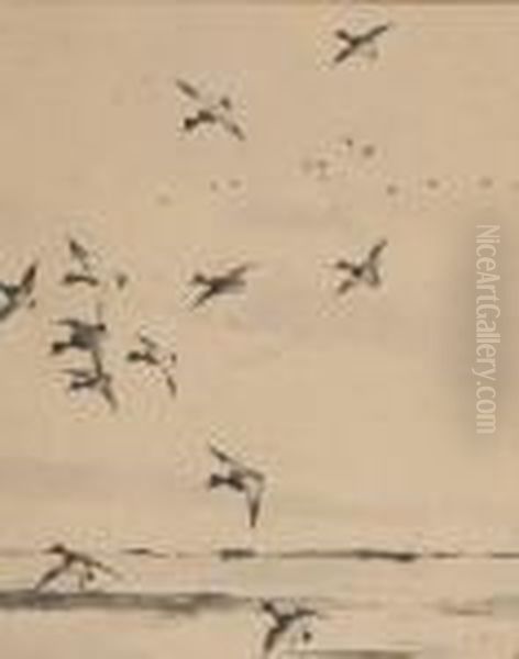 Bluebills - view 1