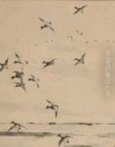 Bluebills by Frank Weston Benson
