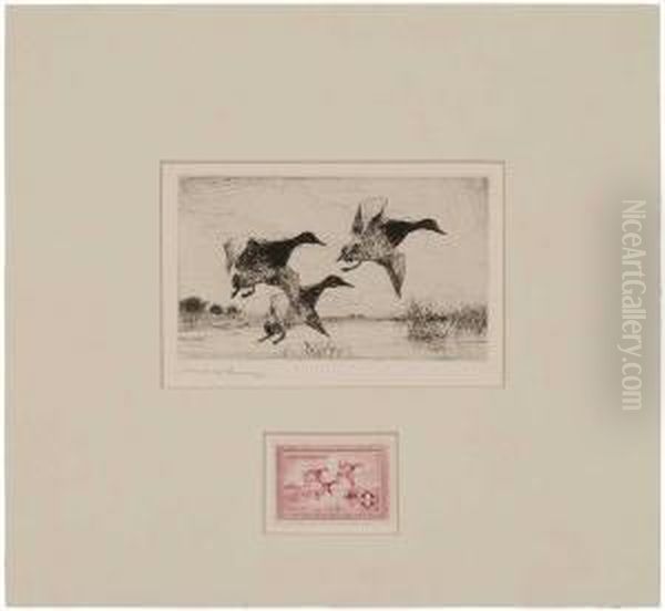 Federal Duck - view 1