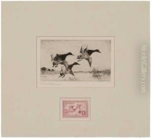 Federal Duck by Frank Weston Benson