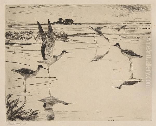 Yellowlegs No. 2 - view 1