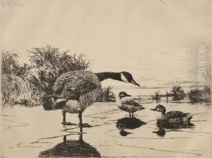 Goose And Teal by Frank Weston Benson