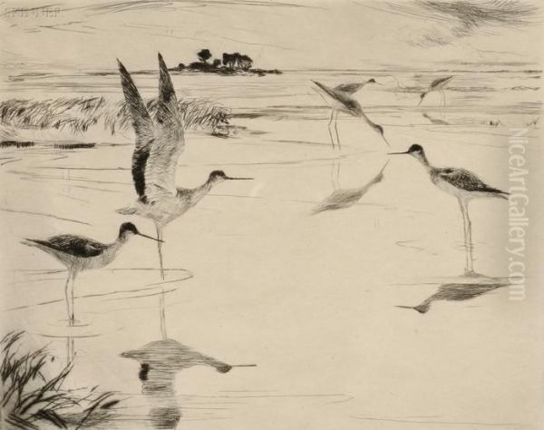 Yellowlegs No.
2 - view 1