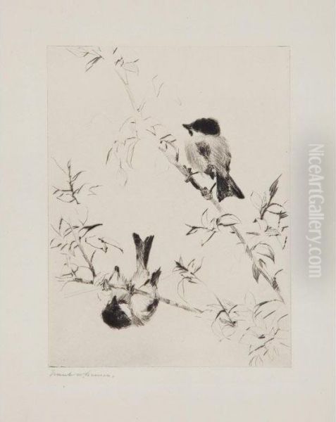 Chickadees - view 1