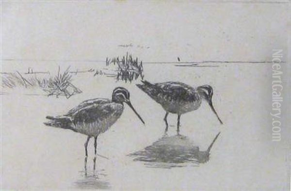 Pair Of Snipe - view 1