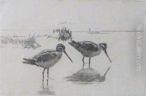 Pair Of Snipe by Frank Weston Benson