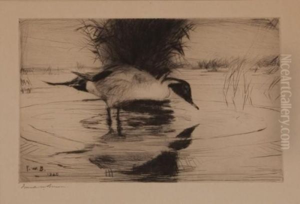 Reflections - view 1