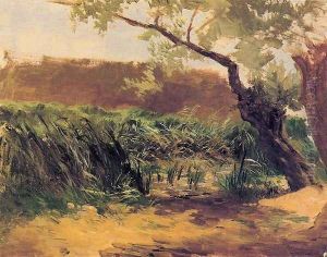 Espadañas by Carlos de Haes