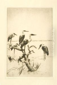 Herons At Rest