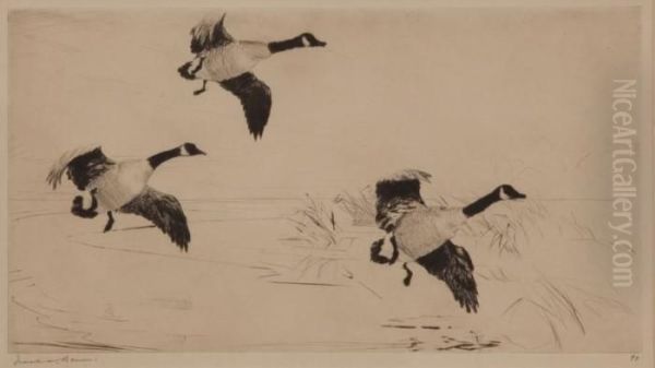 Three Geese - view 1