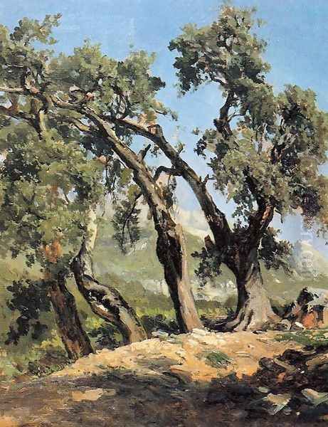 Grupo de robles - view 1