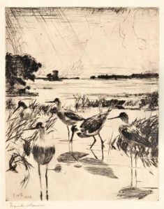 Yellowlegs In Sunlight by Frank Weston Benson