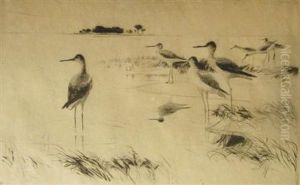 Winter Yellowlegs by Frank Weston Benson