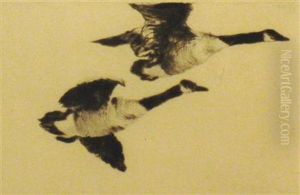 Study Of Geese by Frank Weston Benson
