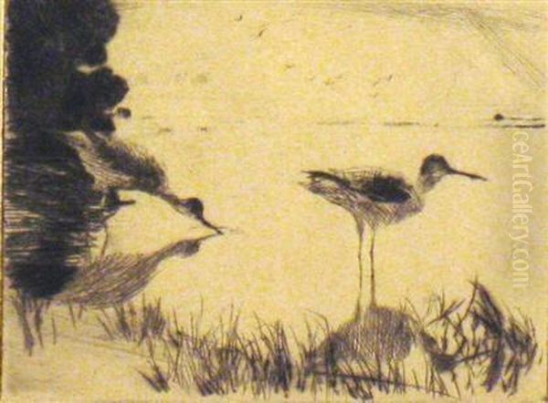 A Pair Of Yellowlegs - view 1