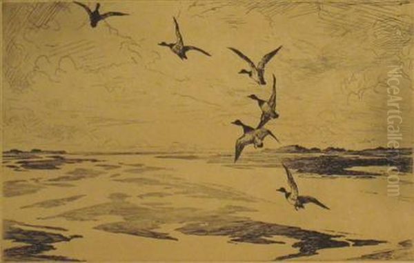 The Wide Marshes - view 1