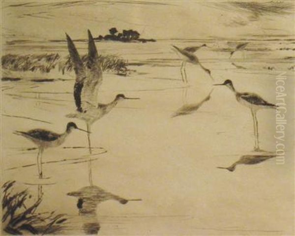 Yellowlegs No. 2 - view 1