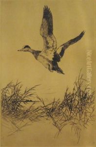 Wedgeon Rising by Frank Weston Benson