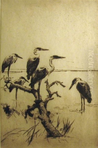 Herons At Rest - view 1
