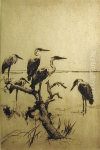 Herons At Rest by Frank Weston Benson