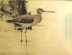 Lone Yellowlegs