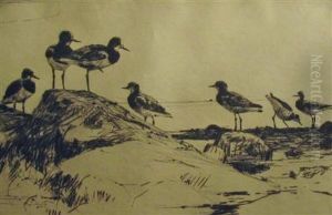 Turnstones Turnstones