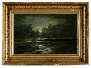 Alighting In The Moonlight