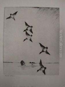 On Swift Wings