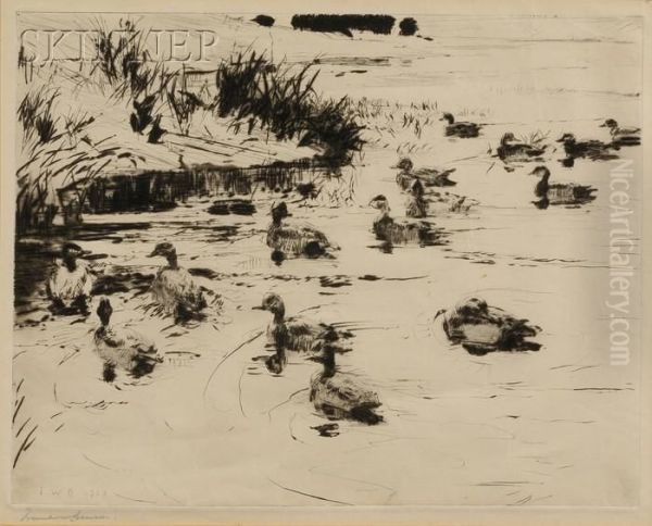 Ducks At Play - view 1