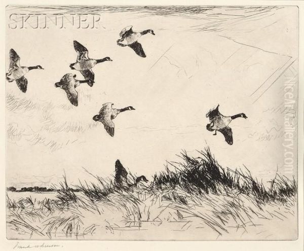 Geese Over A Marsh - view 1