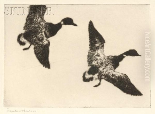 Flying Brant - view 1