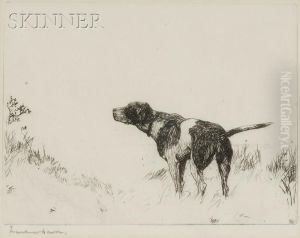 Pointer Dog Pointer Dog