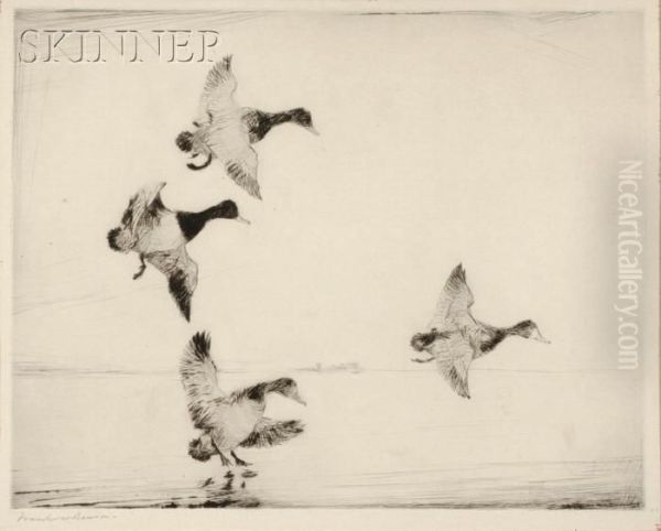 In Dropping Flight - view 1